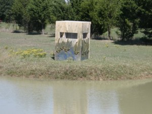 Duck Blind